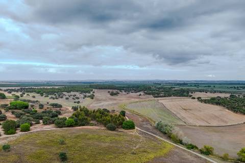 Herdade de 22,45 Hectares no Alentejo com Ruína de 240 m² e Potencial Único
