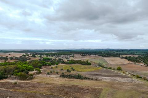 Herdade de 22,45 Hectares no Alentejo com Ruína de 240 m² e Potencial Único
