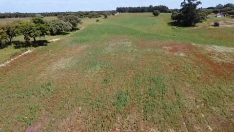 Herdade de 22,45 Hectares no Alentejo com Ruína de 240 m² e Potencial Único
