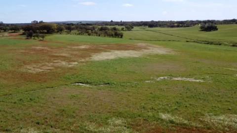 Herdade de 22,45 Hectares no Alentejo com Ruína de 240 m² e Potencial Único
