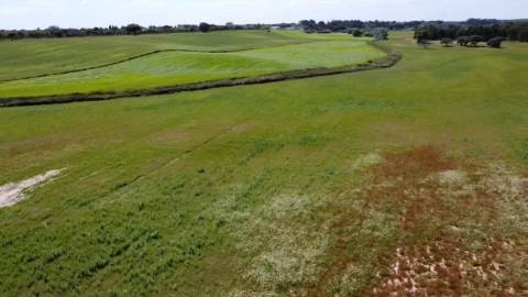 Herdade de 22,45 Hectares no Alentejo com Ruína de 240 m² e Potencial Único
