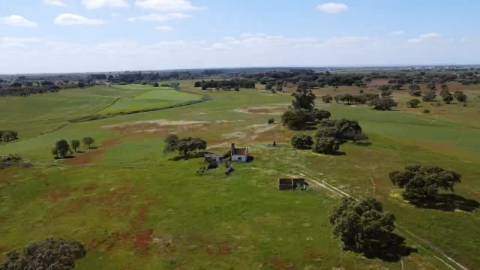 Herdade de 22,45 Hectares no Alentejo com Ruína de 240 m² e Potencial Único
