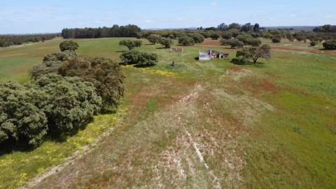 Herdade de 22,45 Hectares no Alentejo com Ruína de 240 m² e Potencial Único
