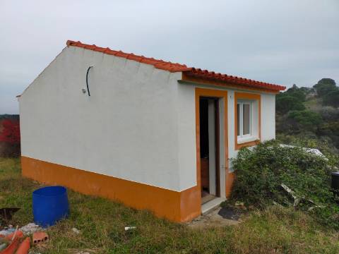 QUINTA COM 5HA DE TERRENO COM 500M2 URBANO - GALVEIAS - PONTE DE SOR