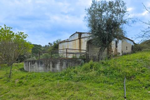 QUINTA COM 5HA DE TERRENO COM 500M2 URBANO - GALVEIAS - PONTE DE SOR