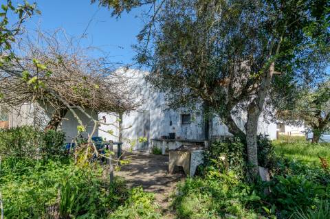 Moradia com Terreno de 2,9 ha para Venda na Aldeia do Futuro - Grândola
