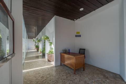 Fully Renovated 1-Bedroom Apartment | Furnished | 2 Balconies | Monte Estoril