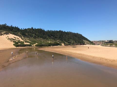 Apartamento T3 em condomínio de luxo em frente à praia