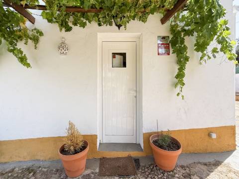 Quintinha com Moradia Típica Alentejana com 3 quartos