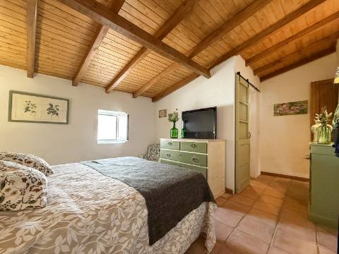 Quintinha com Moradia Típica Alentejana com 3 quartos