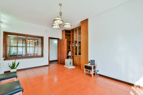 Quinta com 3,14 Hectares e Piscina | Ferreira do Zêzere