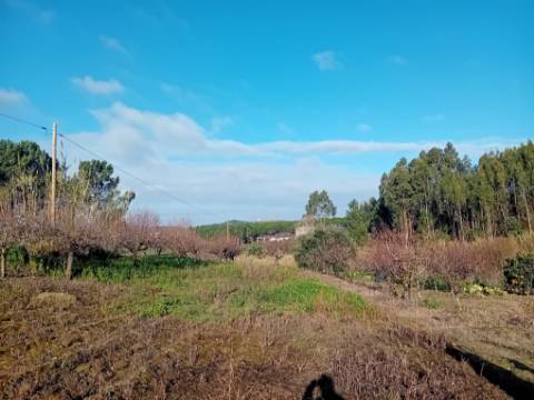 Terreno de 1264m2 com licença levantada em Cortes