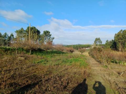 Terreno de 1264m2 com licença levantada em Cortes