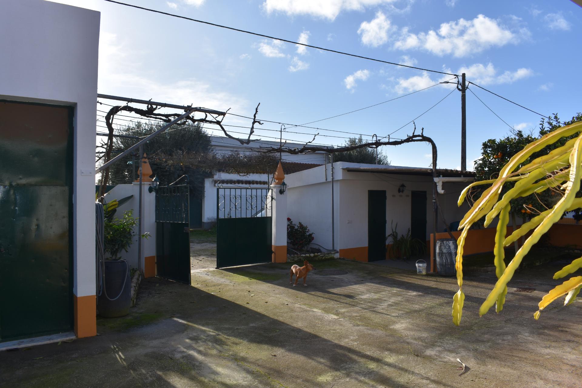 Moradia T3 com terreno