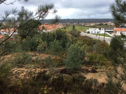 Terreno Exelente para o mercado de apartamentos ou moradias