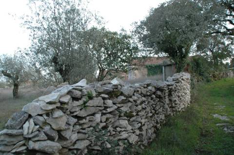 Terreno ideal para o tão apetecido Turismo Rural