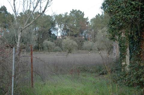 Terreno ideal para o tão apetecido Turismo Rural