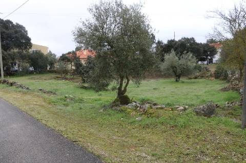 Terreno em Fatima