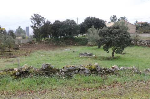 Terreno em Fatima