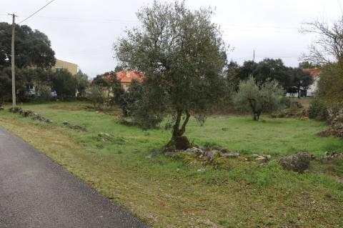 Terreno em Fatima