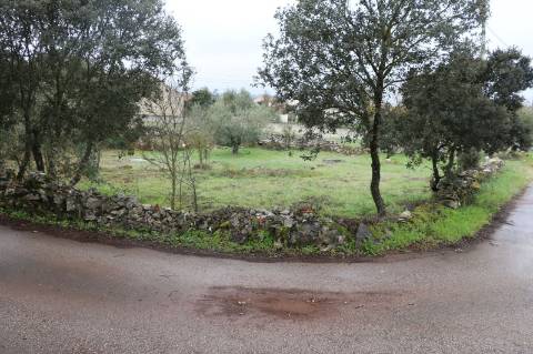 Terreno em Fatima