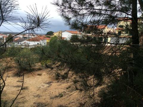 Terreno em leiria