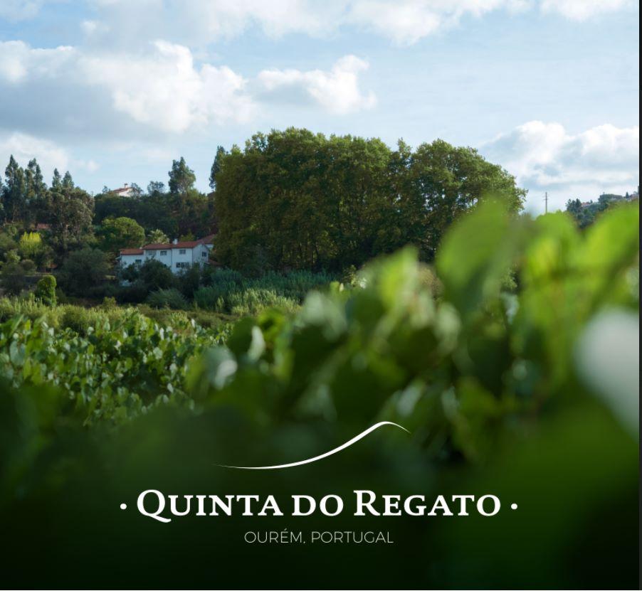 Quinta do Regato com 13 HA