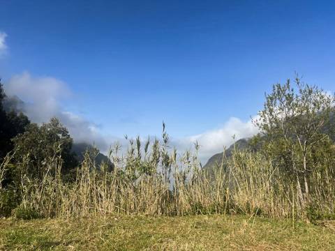 TERRENO DAS GINJAS