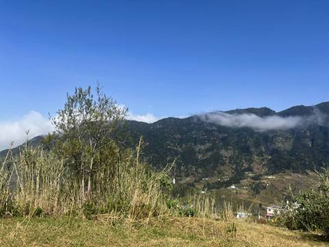 TERRENO DAS GINJAS