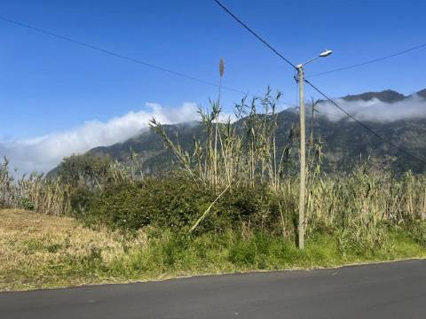 TERRENO DAS GINJAS