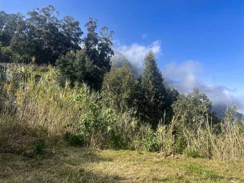 TERRENO DAS GINJAS
