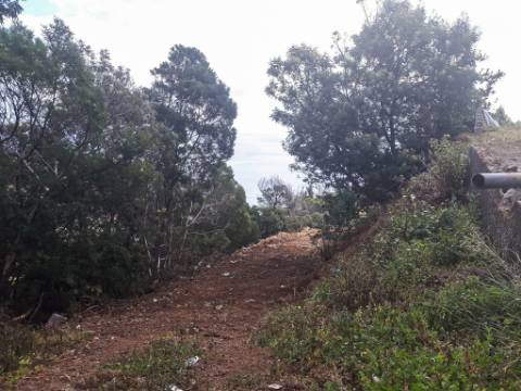 TERRENO DA MORENA