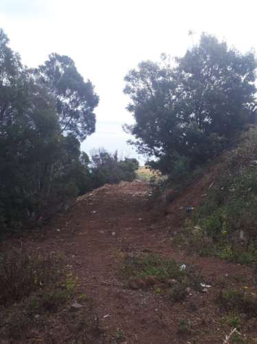TERRENO DA MORENA
