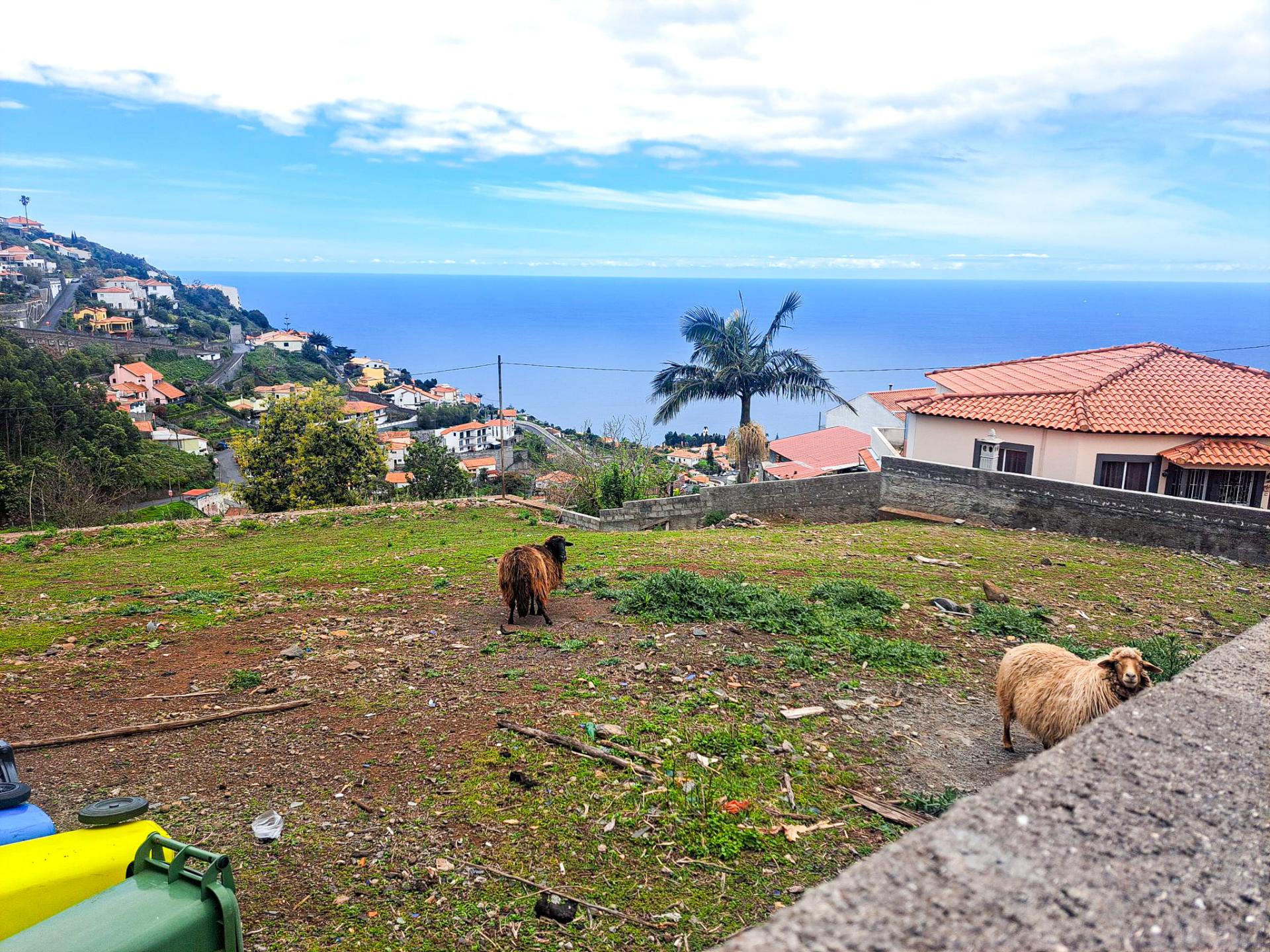 TERRENO SÃO GONÇALO