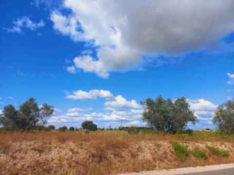 Terreno, Lau, Palmela