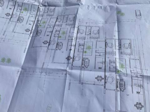 Lote, Brejos do Assa Setúbal