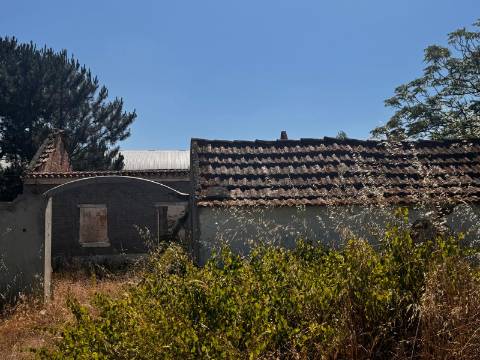 Terreno, Palmela