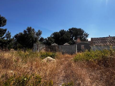 Terreno, Palmela