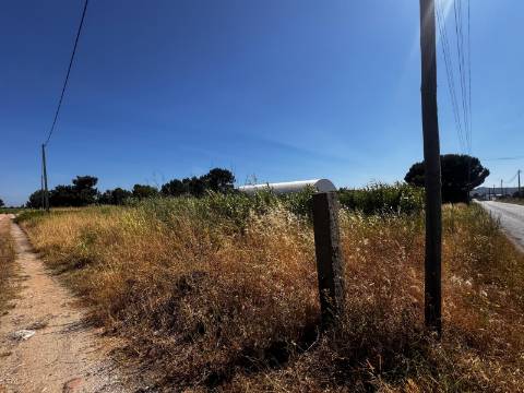 Terreno, Palmela