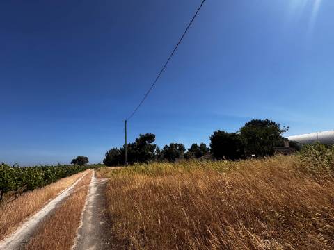 Terreno, Palmela