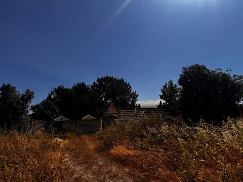 Terreno, Palmela