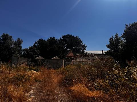 Terreno, Palmela