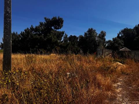 Terreno, Palmela