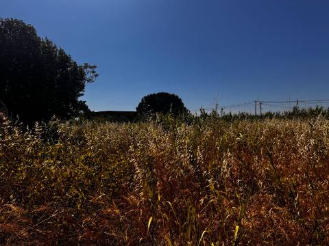 Terreno, Palmela