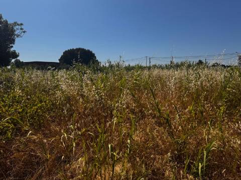 Terreno, Palmela