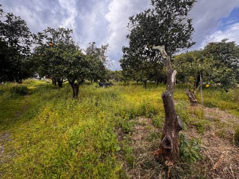 Quintinha, Pontes, Setubal