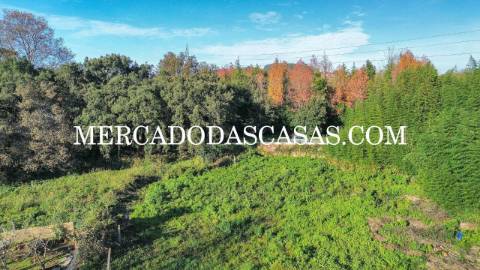 Moradia Isolada bifamiliar T3 no primeiro andar...