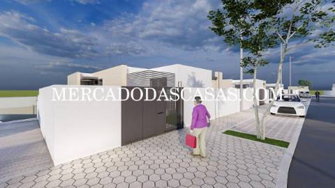 Fábrica do Papel: Onde o Oceano e a Modernidade...
