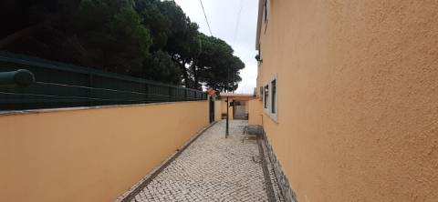 Quinta com moradia T3 e com piscina na Terrugem