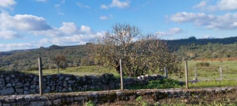 Terreno com ruína - local sossegado e vistas fantásticas